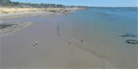 Le Breizh KAM au-dessus de la plage du Bile N° G0032280