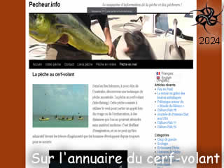 La pêche au cerf-volant (kite-fishing), référencé sur Breizh kam annuaire du cerf-volant - ID N°: 365