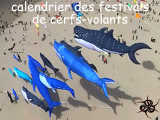 logo du calendrier des festivals de cerfs-volants en Violet via breizh-kam.fr