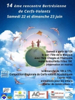 Miniature d'une affiche des festivals de cerfs-volants 2024