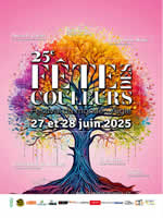 Aigle - 2025, calendrier des festivals de cerfs-volants ID102