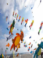 Burgtiefe - 2025, calendrier des festivals de cerfs-volants ID111