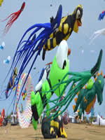 Wangerooge - 2025, calendrier des festivals de cerfs-volants ID135