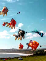 Filey - 2025, calendrier des festivals de cerfs-volants ID131