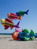Saint-Cyprien (66) - 2025, calendrier des festivals de cerfs-volants ID34