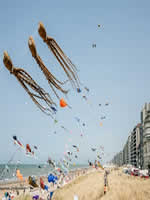 Affiche calendrier des festivals de cerfs-volants 2026 - Westende - BE