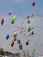 FANO - 2026, calendrier des festivals de cerfs-volants ID267
