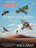 Affiche pour : Baccarat (54) - 2026, calendrier des festivals de cerfs-volants ID200