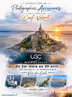 Affiche pour : Mondeville (14) - 2026, calendrier des festivals de cerfs-volants ID246