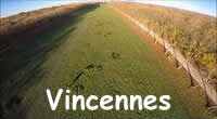 Breizh KAM - Cerf-volant KAP KAM à Vincennes