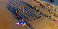 breizh-kam.fr, les cerfs-volants de Michel Gressier sur l'île d'Yeu N° 1