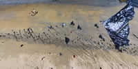 breizh-kam.fr, les cerfs-volants de Michel Gressier sur l'île d'Yeu N° 102