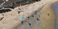 breizh-kam.fr, les cerfs-volants de Michel Gressier sur l'île d'Yeu N° 103
