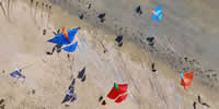 breizh-kam.fr, les cerfs-volants de Michel Gressier sur l'île d'Yeu N° 108