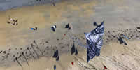 breizh-kam.fr, les cerfs-volants de Michel Gressier sur l'île d'Yeu N° 109