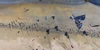 breizh-kam.fr, les cerfs-volants de Michel Gressier sur l'île d'Yeu N° 115