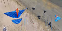 breizh-kam.fr, les cerfs-volants de Michel Gressier sur l'île d'Yeu N° 117
