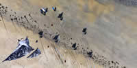 breizh-kam.fr, les cerfs-volants de Michel Gressier sur l'île d'Yeu N° 120