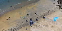breizh-kam.fr, les cerfs-volants de Michel Gressier sur l'île d'Yeu N° 124