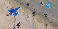 breizh-kam.fr, les cerfs-volants de Michel Gressier sur l'île d'Yeu N° 130