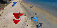 breizh-kam.fr, les cerfs-volants de Michel Gressier sur l'île d'Yeu N° 134
