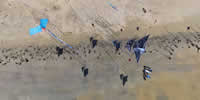 breizh-kam.fr, les cerfs-volants de Michel Gressier sur l'île d'Yeu N° 135