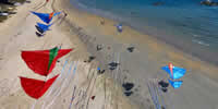 breizh-kam.fr, les cerfs-volants de Michel Gressier sur l'île d'Yeu N° 137