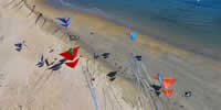 breizh-kam.fr, les cerfs-volants de Michel Gressier sur l'île d'Yeu N° 143