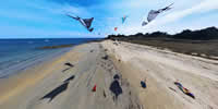 breizh-kam.fr, les cerfs-volants de Michel Gressier sur l'île d'Yeu N° 148