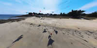 breizh-kam.fr, les cerfs-volants de Michel Gressier sur l'île d'Yeu N° 153