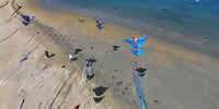 breizh-kam.fr, les cerfs-volants de Michel Gressier sur l'île d'Yeu N° 156