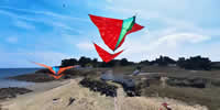 breizh-kam.fr, les cerfs-volants de Michel Gressier sur l'île d'Yeu N° 157