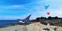 breizh-kam.fr, les cerfs-volants de Michel Gressier sur l'île d'Yeu N° 159