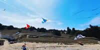 breizh-kam.fr, les cerfs-volants de Michel Gressier sur l'île d'Yeu N° 166