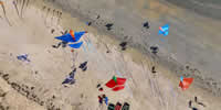 breizh-kam.fr, les cerfs-volants de Michel Gressier sur l'île d'Yeu N° 168