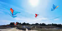 breizh-kam.fr, les cerfs-volants de Michel Gressier sur l'île d'Yeu N° 171