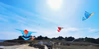 breizh-kam.fr, les cerfs-volants de Michel Gressier sur l'île d'Yeu N° 177