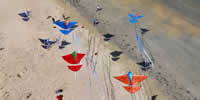 breizh-kam.fr, les cerfs-volants de Michel Gressier sur l'île d'Yeu N° 178