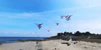 breizh-kam.fr, les cerfs-volants de Michel Gressier sur l'île d'Yeu N° 179