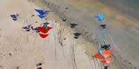 breizh-kam.fr, les cerfs-volants de Michel Gressier sur l'île d'Yeu N° 180