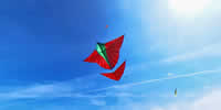 breizh-kam.fr, les cerfs-volants de Michel Gressier sur l'île d'Yeu N° 184
