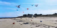 breizh-kam.fr, les cerfs-volants de Michel Gressier sur l'île d'Yeu N° 187