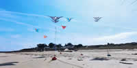 breizh-kam.fr, les cerfs-volants de Michel Gressier sur l'île d'Yeu N° 189