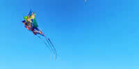 breizh-kam.fr, les cerfs-volants de Michel Gressier sur l'île d'Yeu N° 23