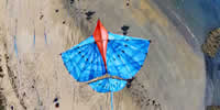 breizh-kam.fr, les cerfs-volants de Michel Gressier sur l'île d'Yeu N° 96